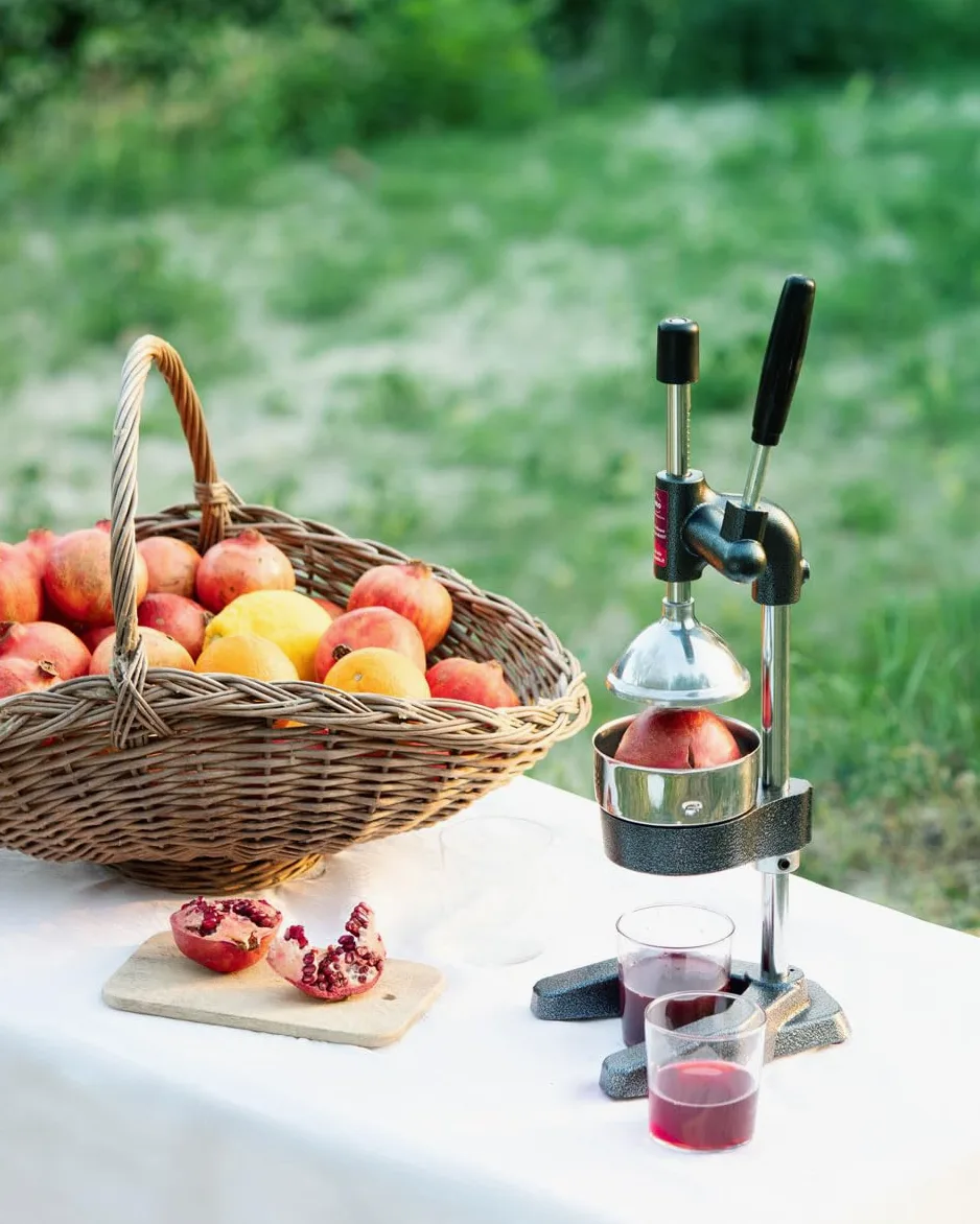 Spremi melograno e spremiagrumi manuale professionale - spremi melagrane, arance, limoni e tutti i tipi di frutta - senza elettricità