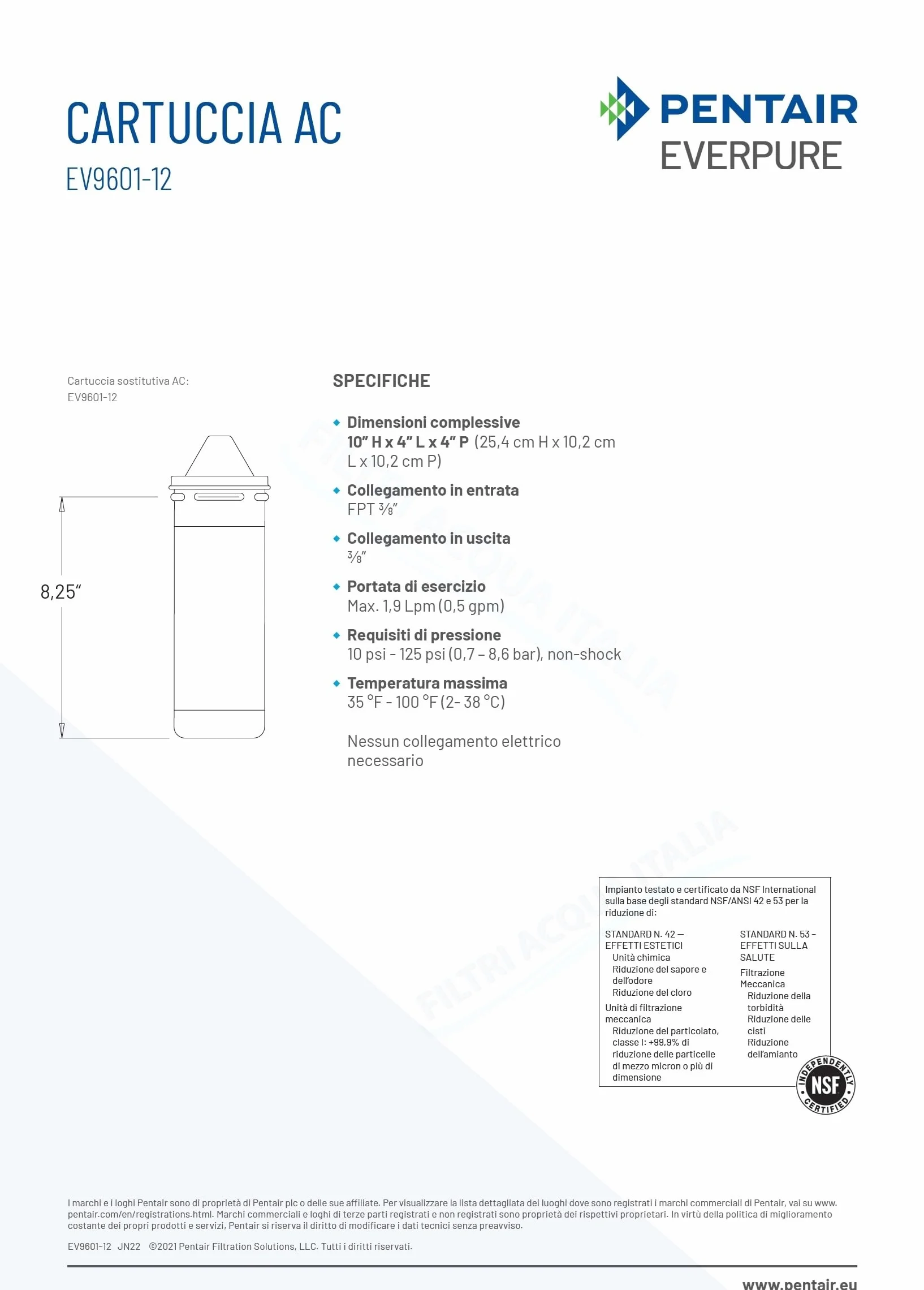 Everpure AC EV9601-12 Ricambio Filtro Acqua