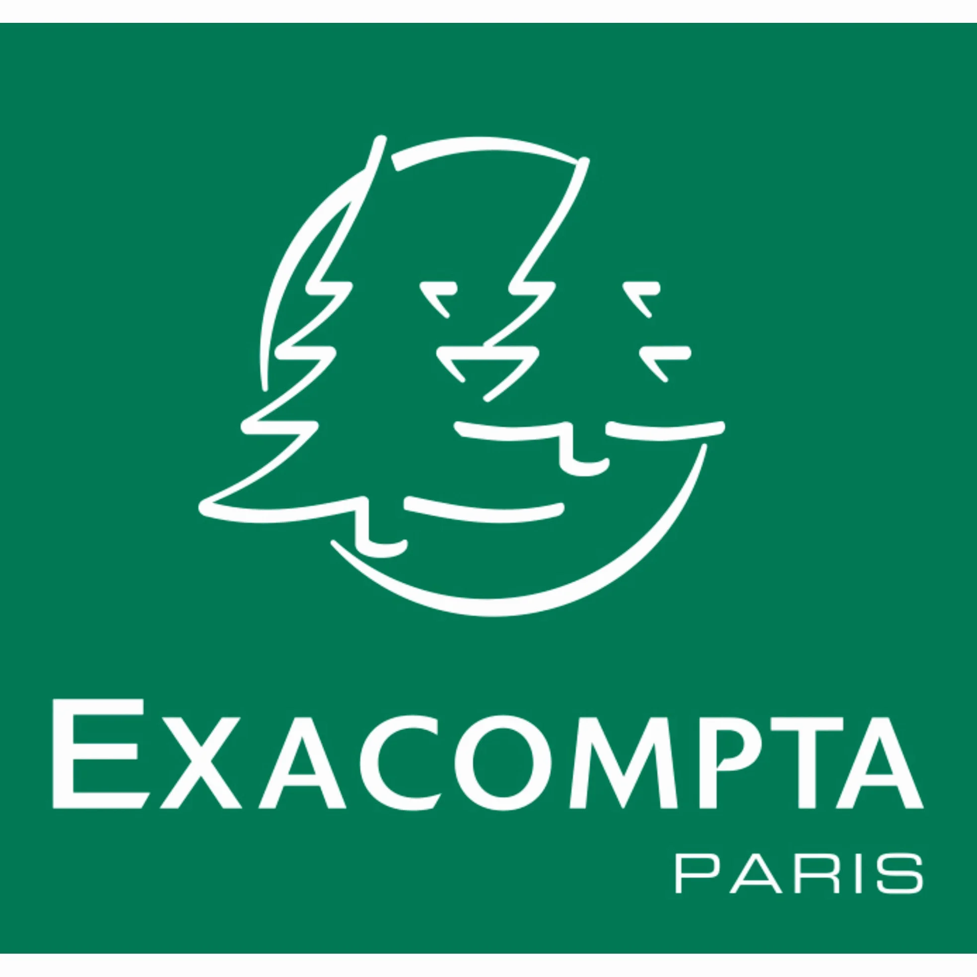 Exacompta 12202E Piloo, 1 Album Libro Fotografico 29x32cm Per 300 Foto, 60 Pagine Bianche Con Divisori In Pergamena, Copertina In Carta Goffrata Con Piedini In Rilievo E Riquadro, Rosa