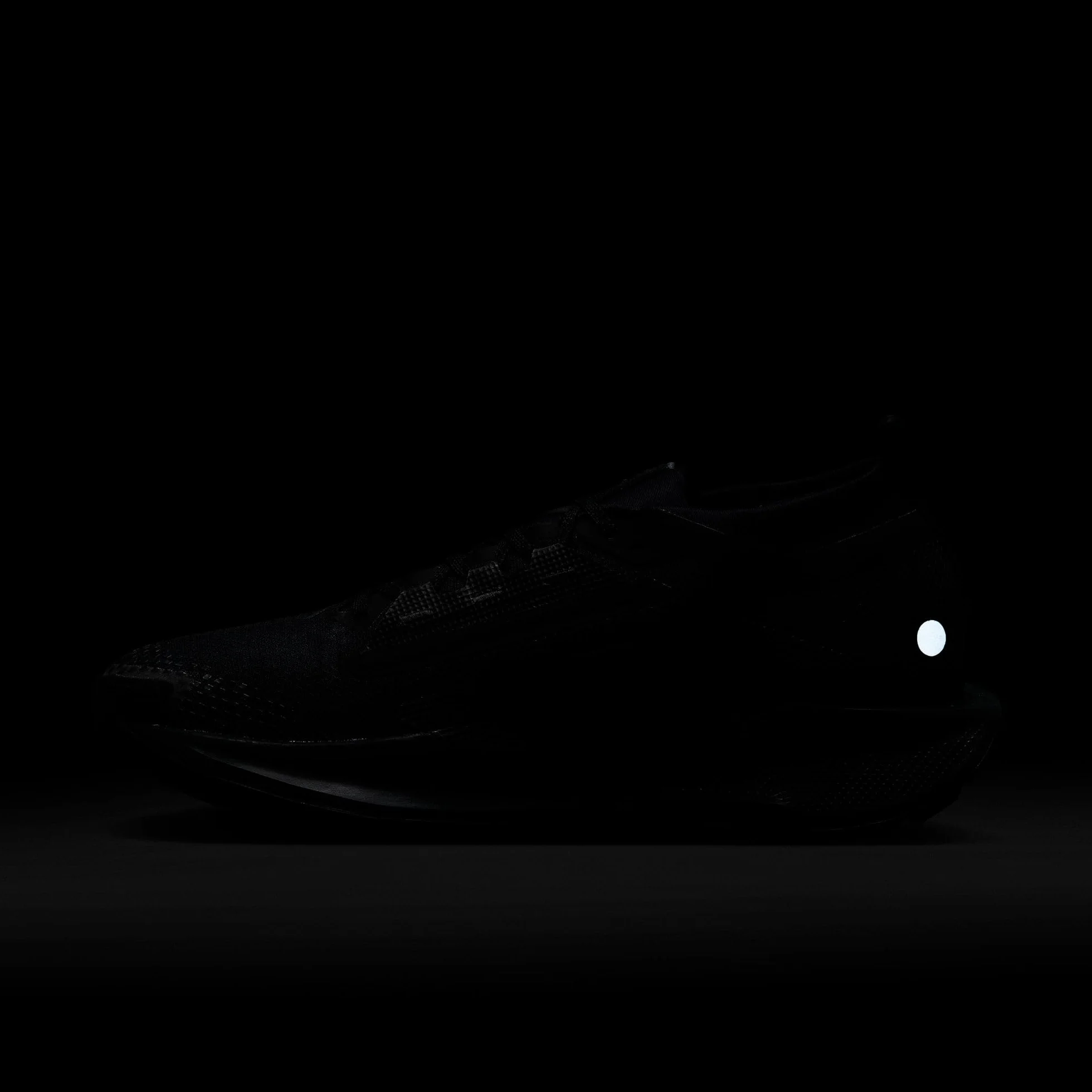 Nike Pegasus Trail 5 Gore-Tex SneakerUomo
