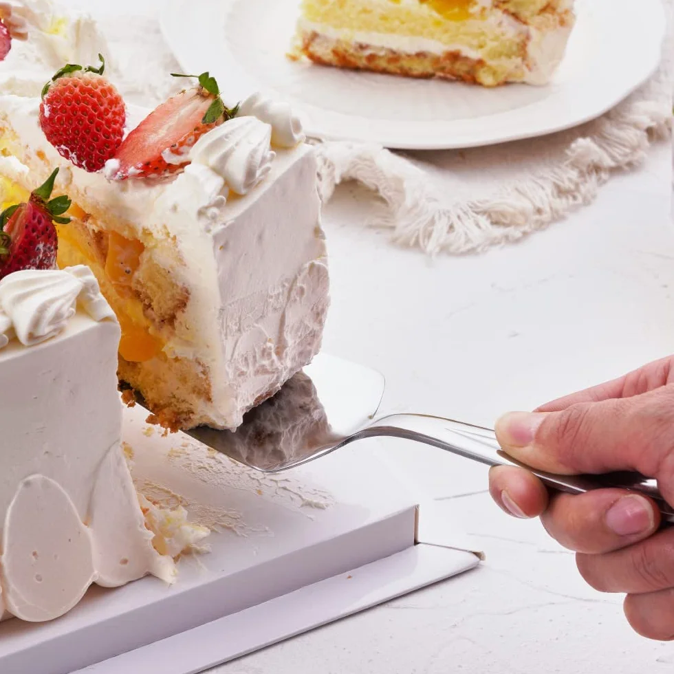 Set di coltelli e server per torte in acciaio inox GoGeiLi