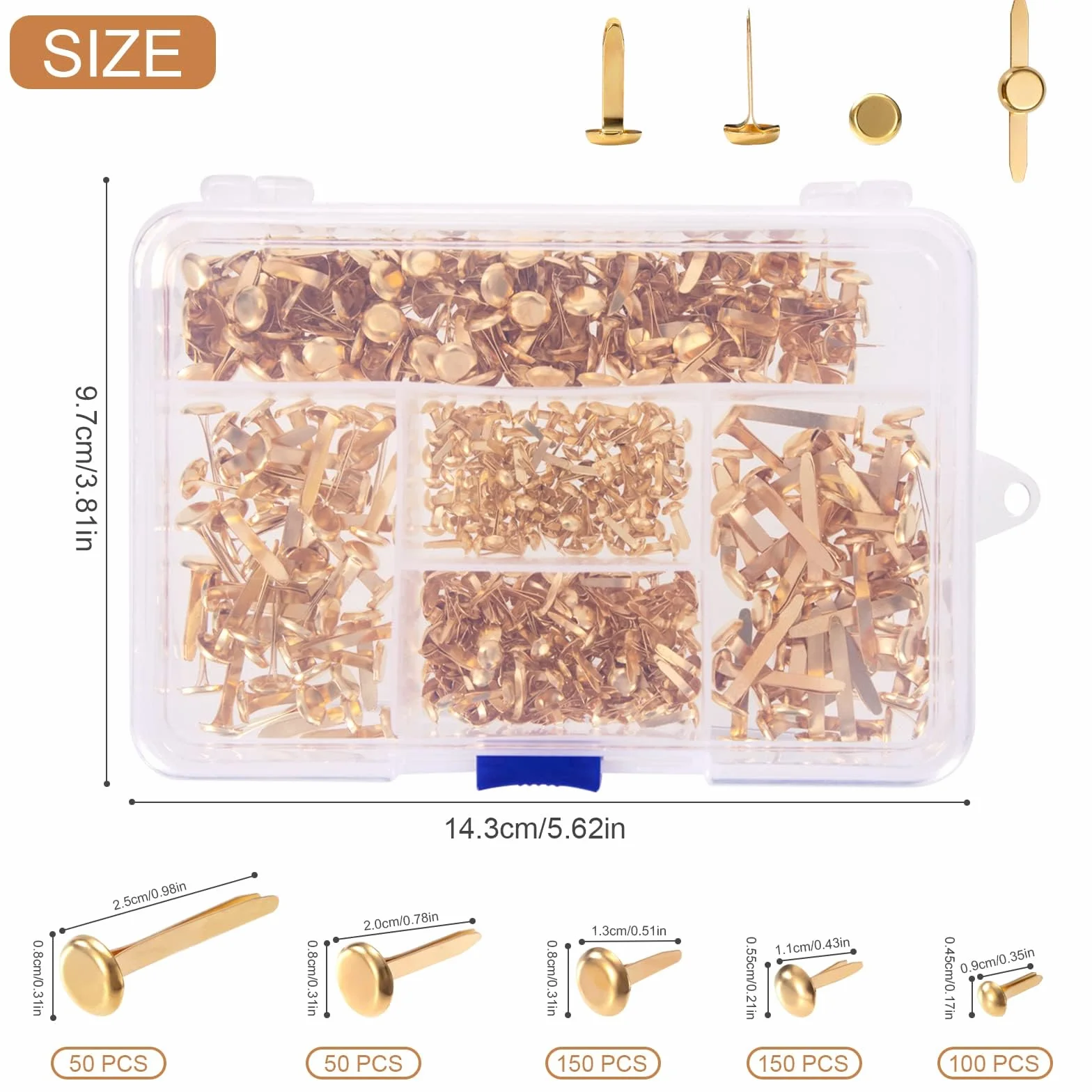500 Pezzi Mini Fermacampioni, Scrapbooking Brads, Metallo Elementi di Fissaggio in Carta Piccoli con Casella per Album di Ritagli di Artigianale DIY, 5 Specifiche