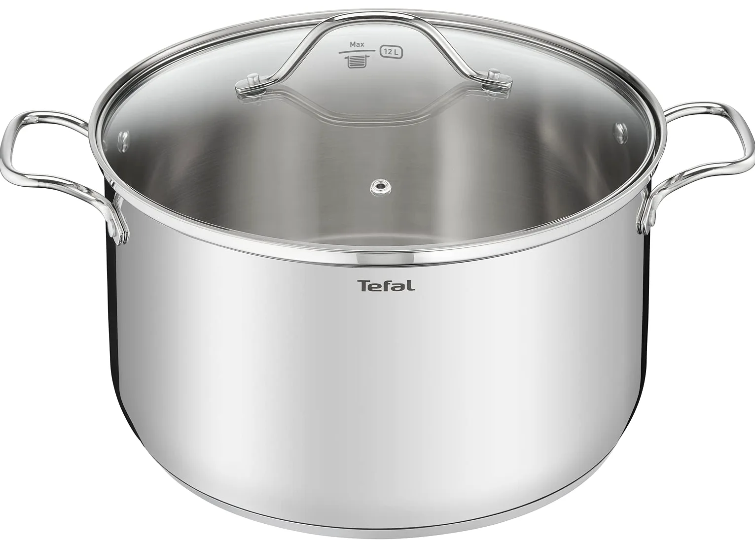 Tefal Intuition XL Grande pentola in acciaio inox 30 cm/10 L, induzione, 5 anni, acciaio inossidabile 18/10 di prima qualità, XL, manici robusti, coperchio in vetro B8646904