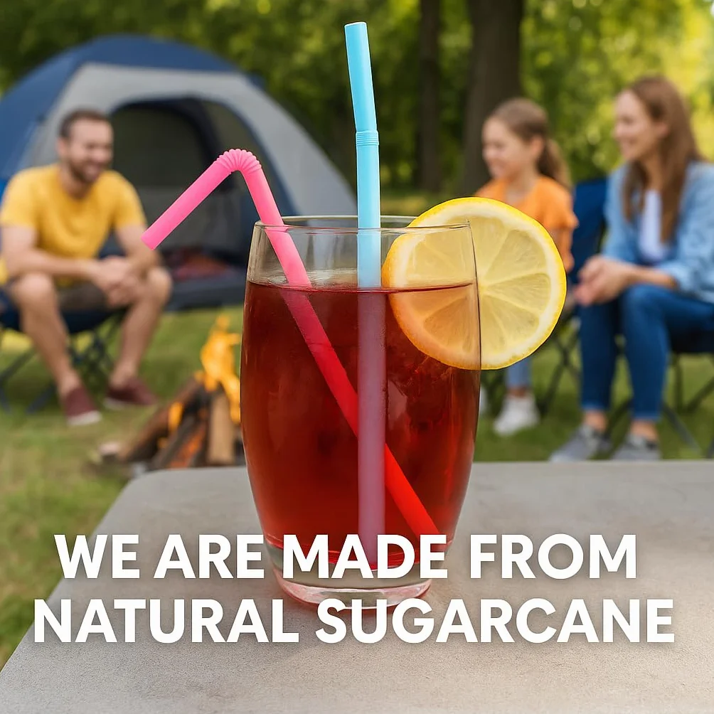 SYLVA 100 cannucce flessibili multicolore pieghevoli – Cannucce di canna da zucchero per cocktail, frullati, frappè – Cannucce in fibra naturale di canna da zucchero, cannucce robuste per bevande
