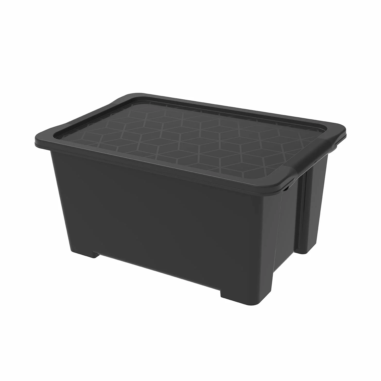 Rotho Evo Easy Scatola portaoggetti con coperchio 44 l Plastica PP riciclato Nero 58,5 x 39,0 x 27,9 cm