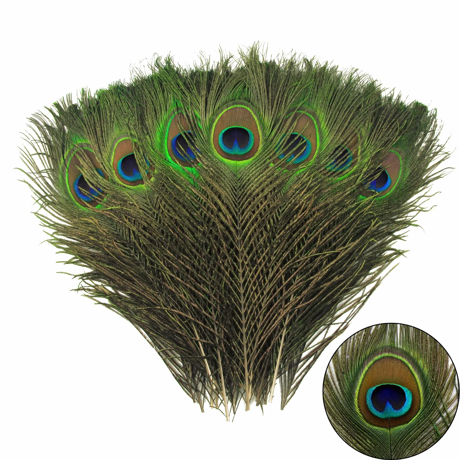 THARAHT 12pcs Peacock Feather Naturale 10-12 Pollici 25-30cm per Craft Vase Decorazione Piume di Pavone
