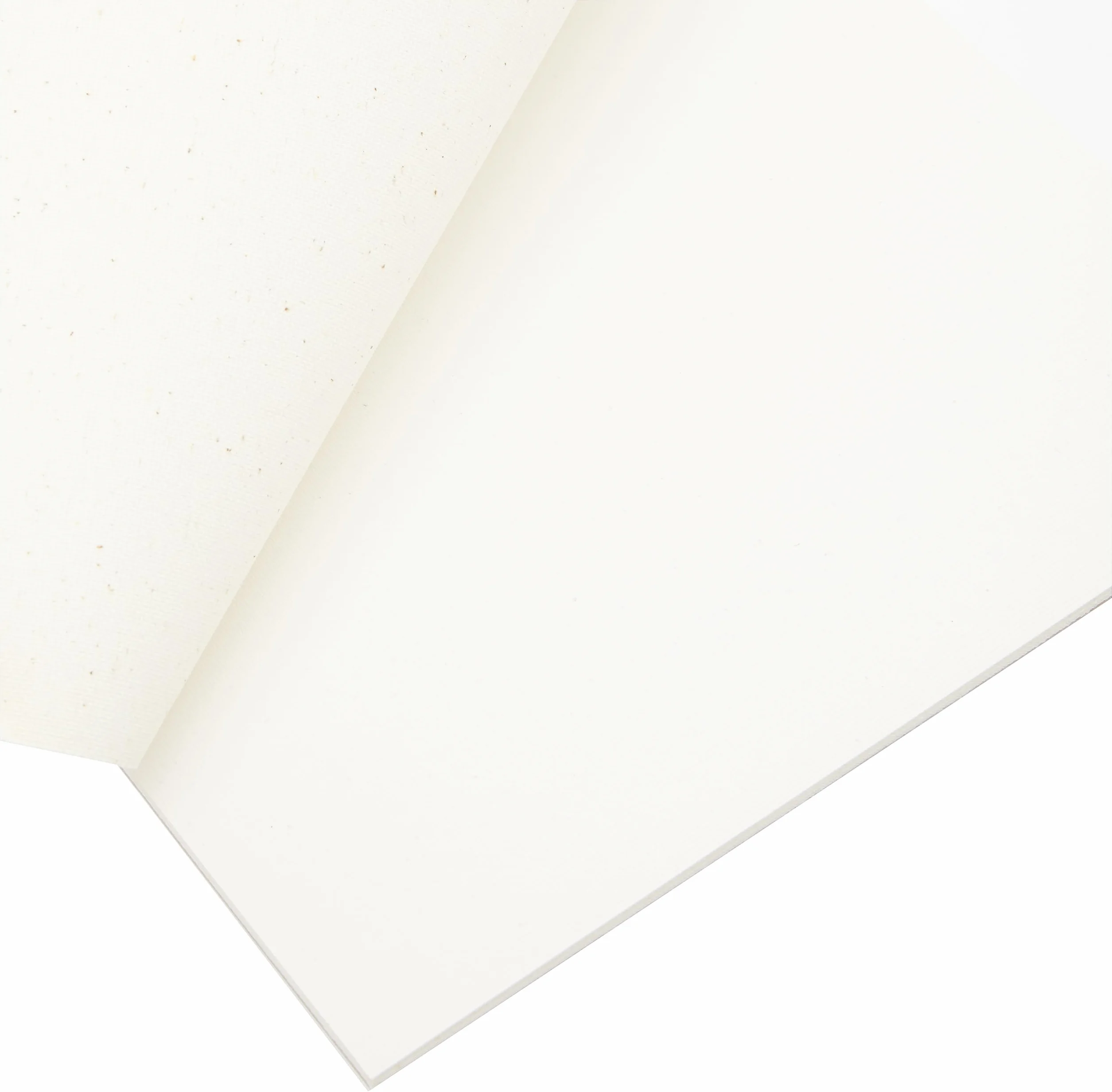 Clairefontaine 975207C - Blocco collato di 10 tele pronte da dipingere 21x29,7 cm 200g, Cosmos Bianca