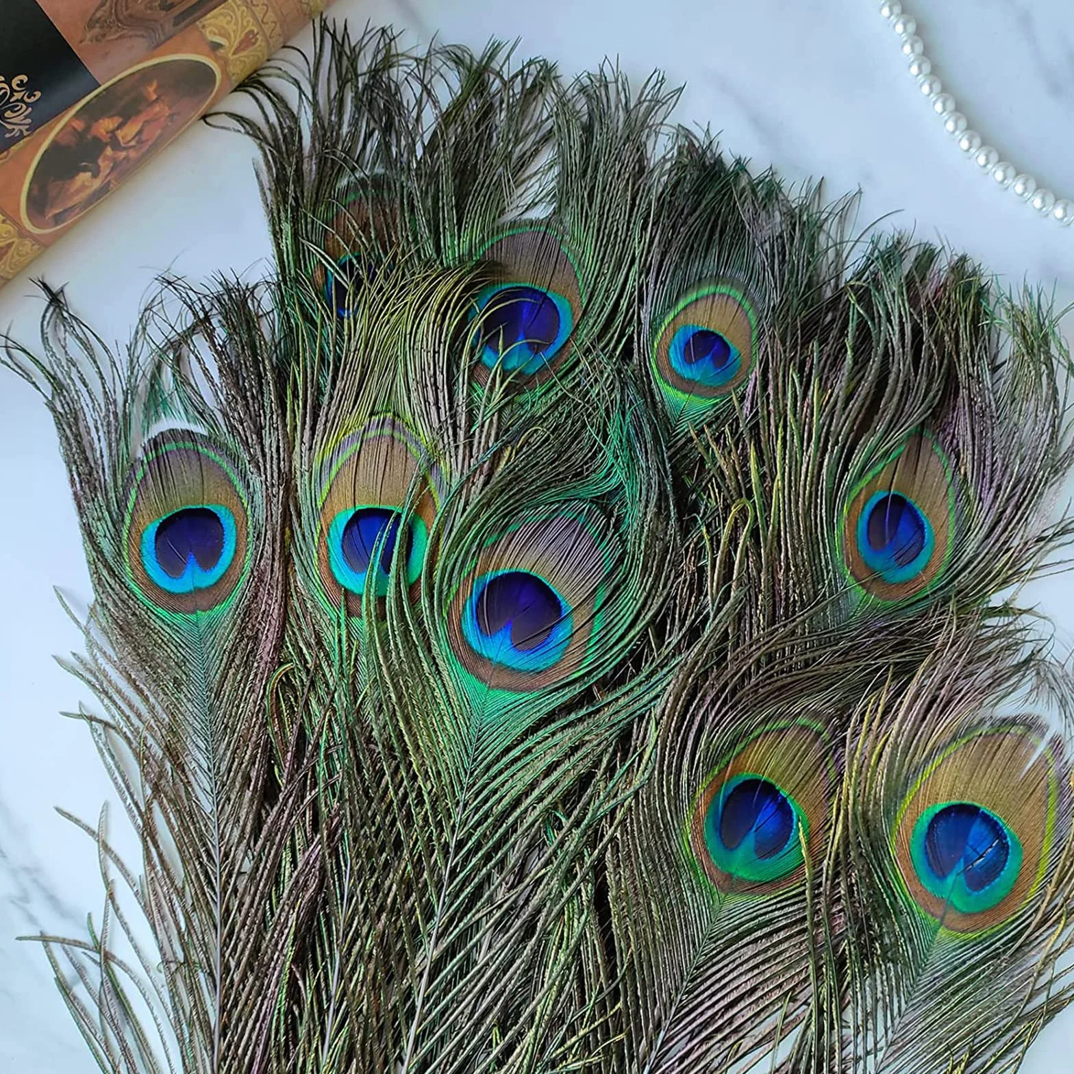 Piume di Pavone Naturali Lunghe 15pcs per Arti e Mestieri, Decorazione Fai da Te