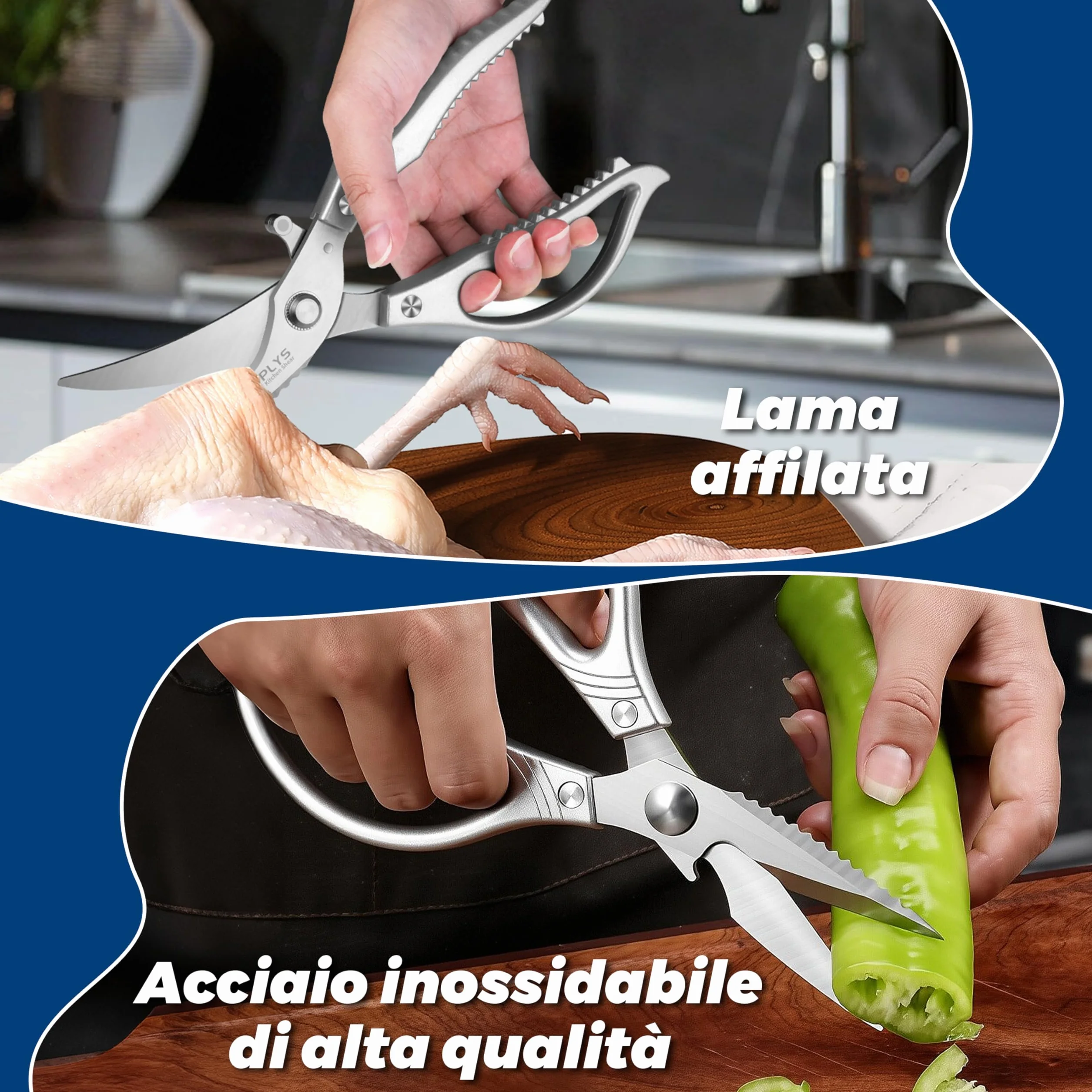 Forbici da Cucina Professionali: Set Forbici Multifunzione in Acciaio Inossidabile per Pollame, Pollo, Pesce, Verdure ed Erbe (Argento)