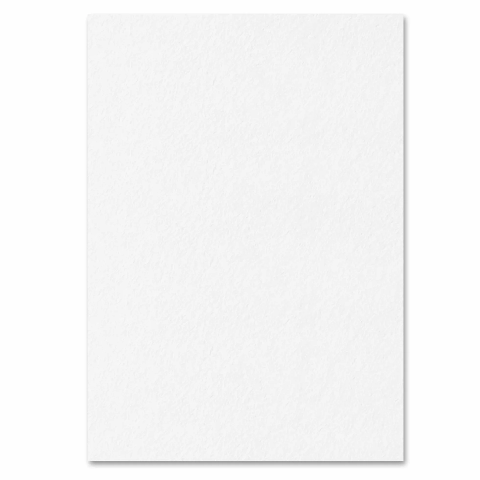 Bianco Carta Cartoncino A4 300g/m² 50 fogli