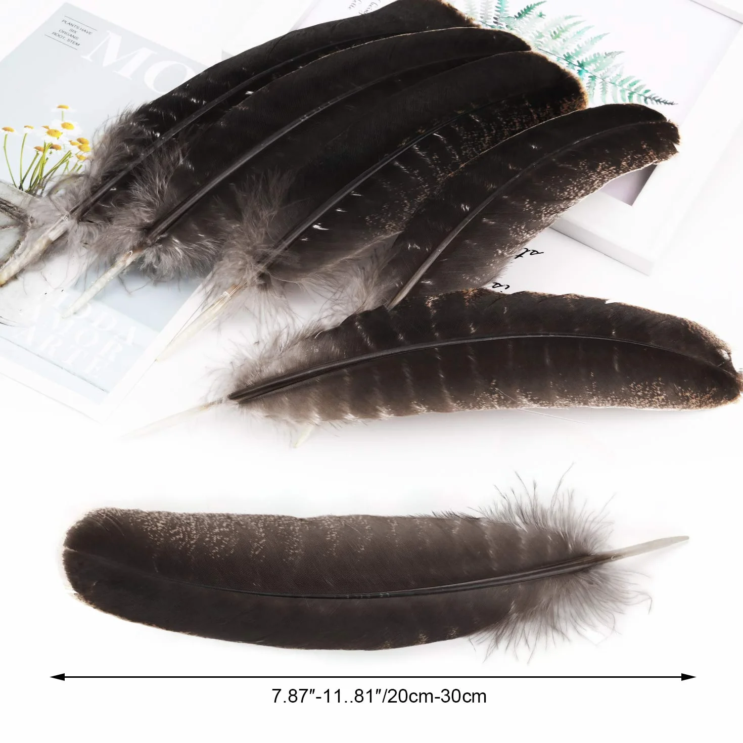 Piume di Fagiano Naturali 20-30cm Morbide per Artigianato Carnevale Decorazione 10 Pezzi