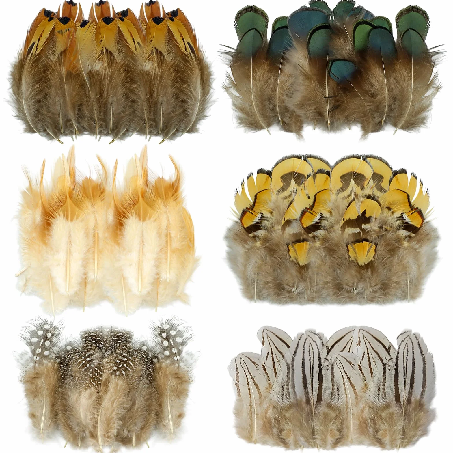 Piume decorative miste per fai da te, 6 stili, 200 pezzi