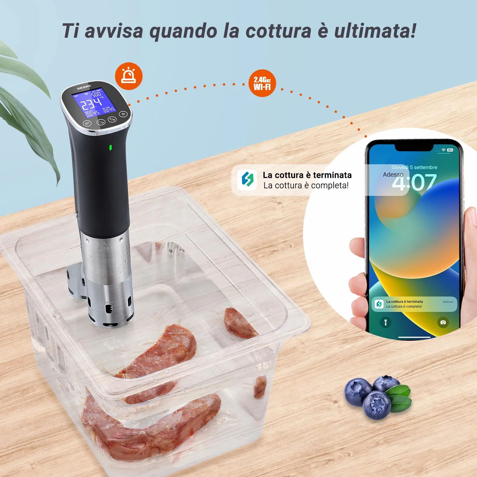 INKBIRD ISV-300W Wifi Sous Vide Roner 1000W IPX7 0-90°C