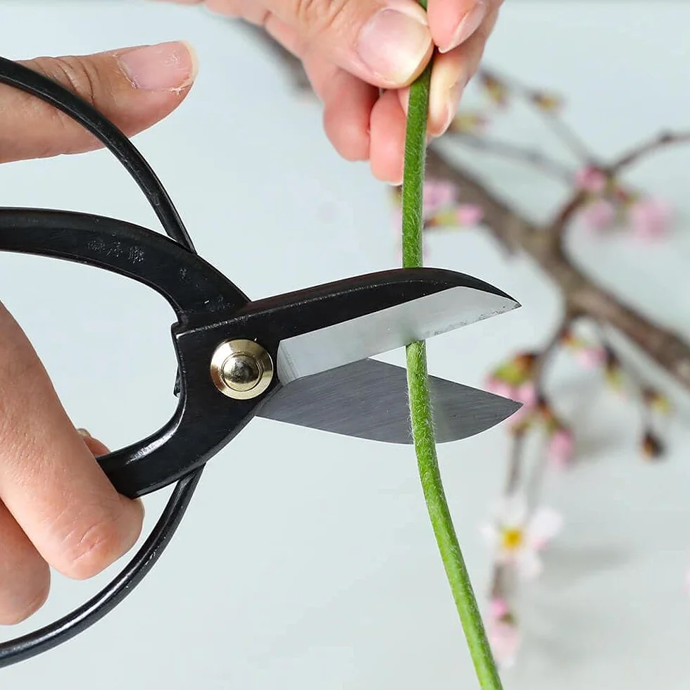 Wazakura Forbici Koryu Acciaio al Carbonio 170 mm Ikebana Floral Tool Kado Hasami Cesoie Giappone