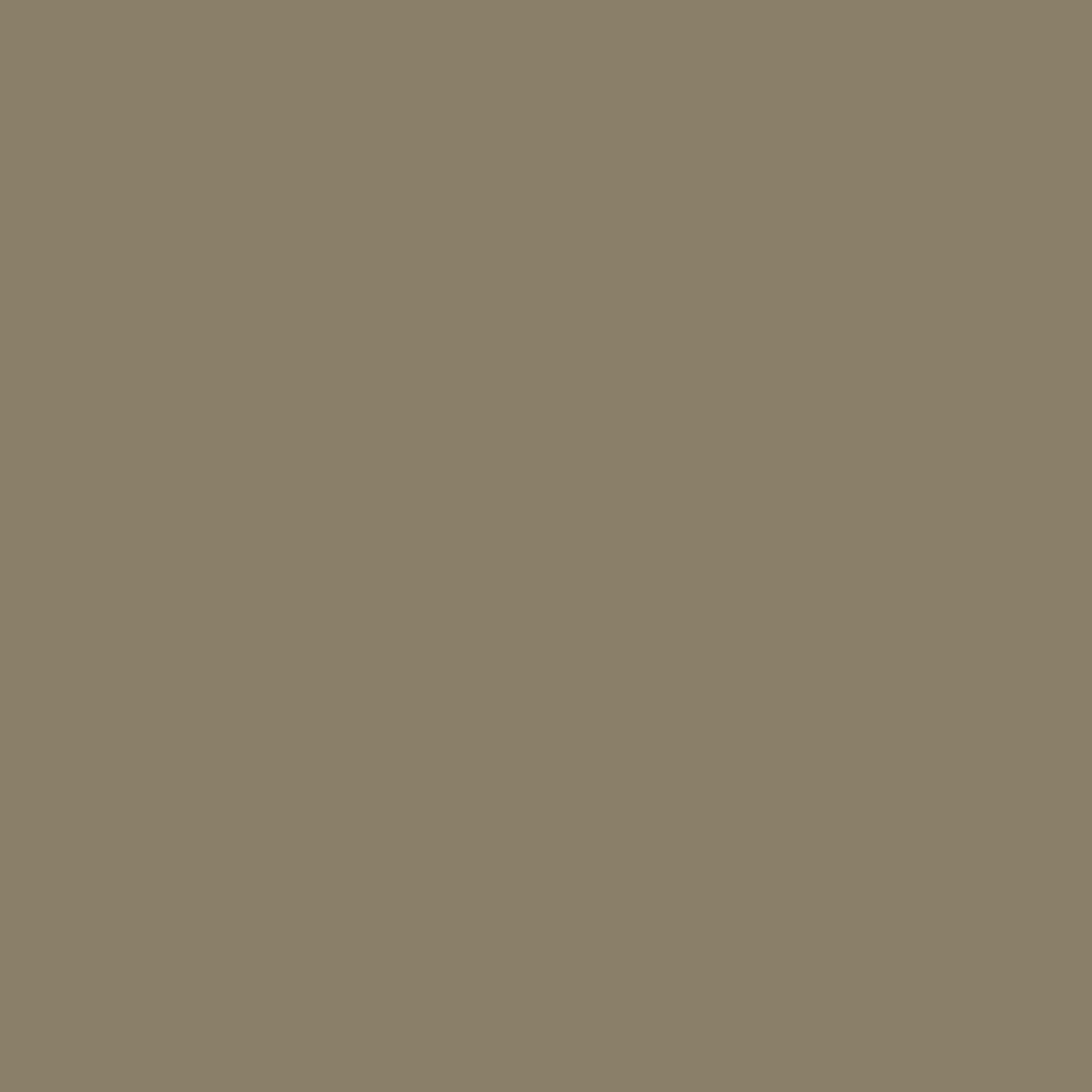 Cricut Smart Vinyl Permanente 33x91cm 1 Foglio Champagne