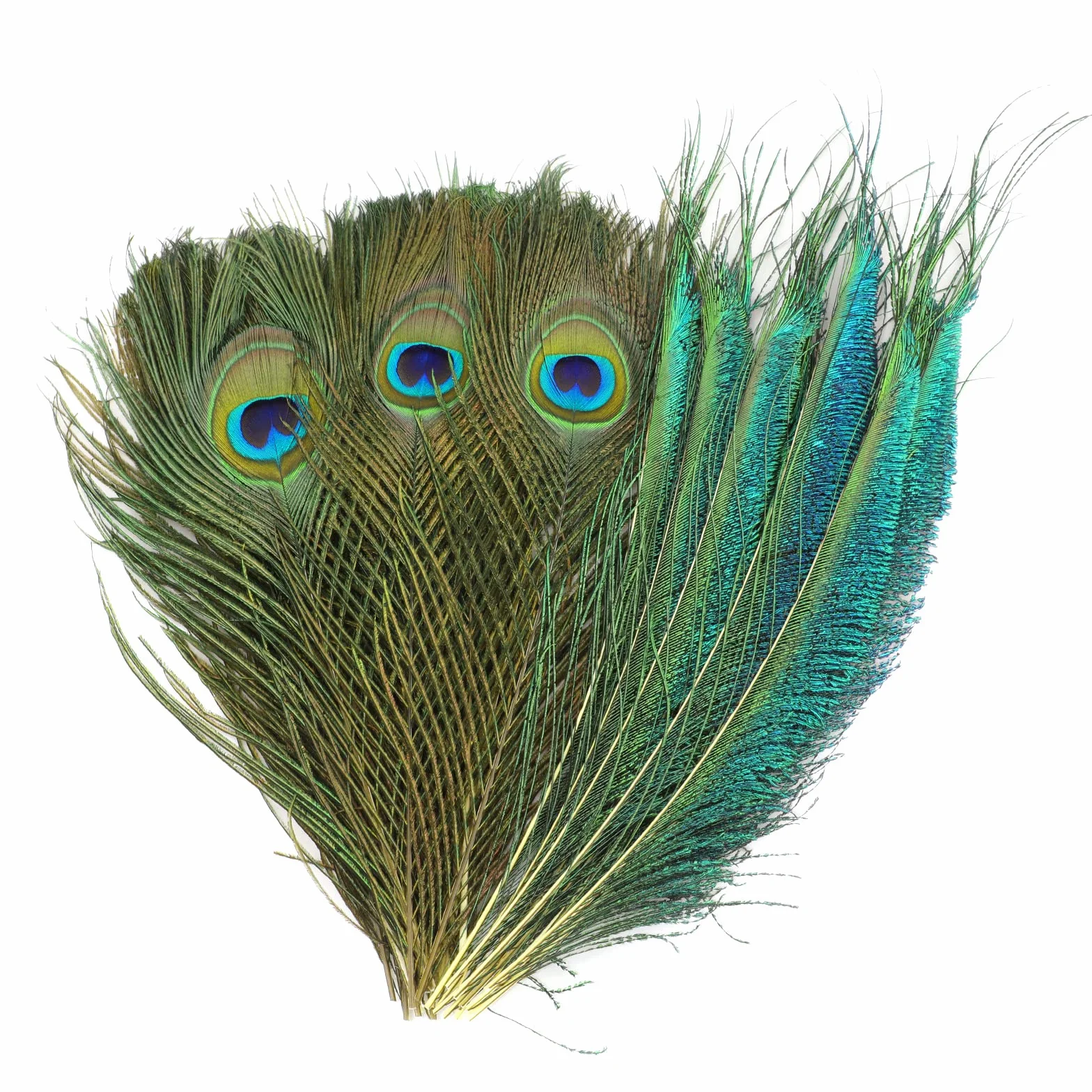 Piume di Pavone Decorative Naturali 30 Pezzi 25-30cm, MWOOT Accessori per Capelli DIY Carnevale
