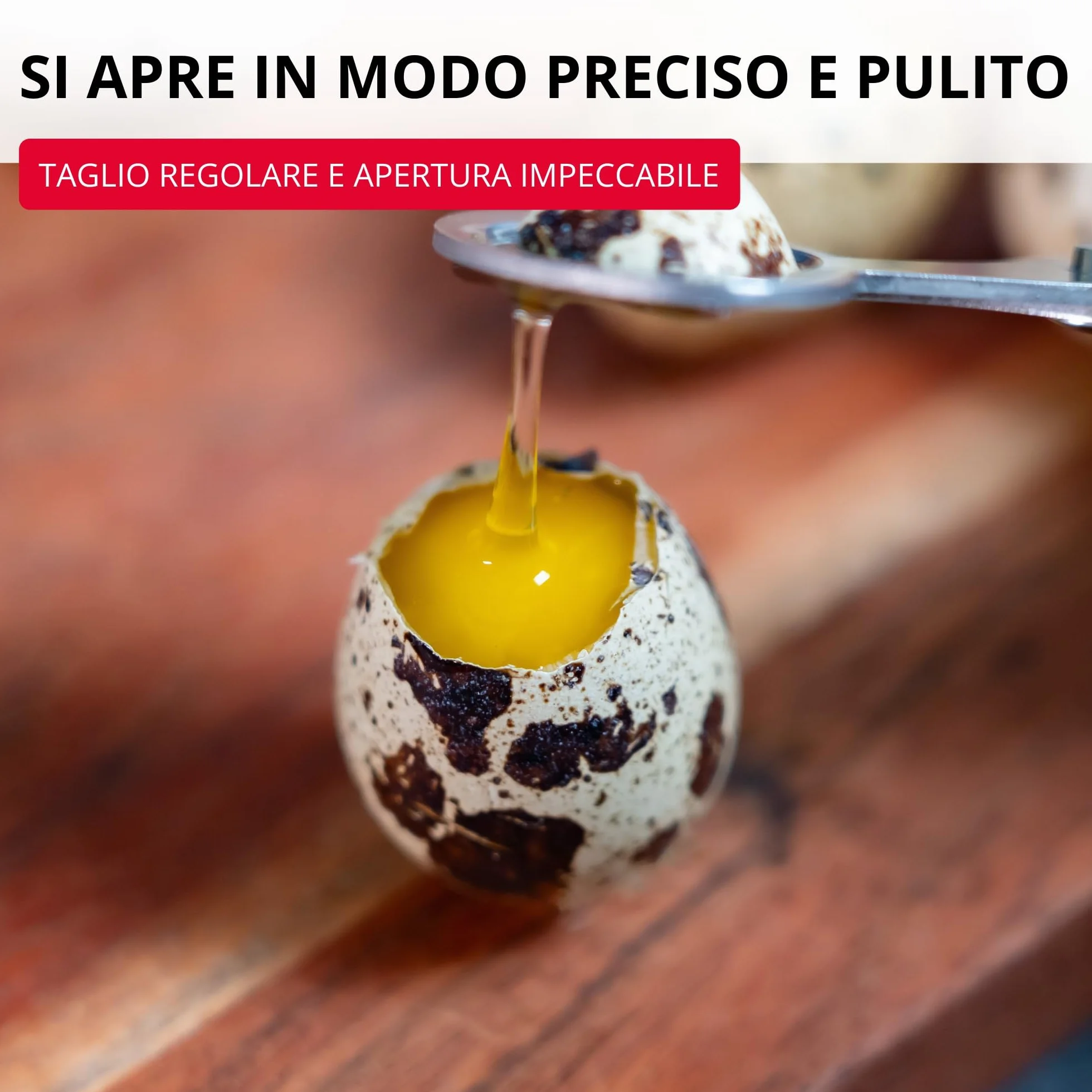 Westmark Forbici per Uova di Quaglia 1 Pezzo, Forbici da cucina per uova di quaglia, Apri guscio d'uovo in acciaio inossidabile preciso, Nero/argento