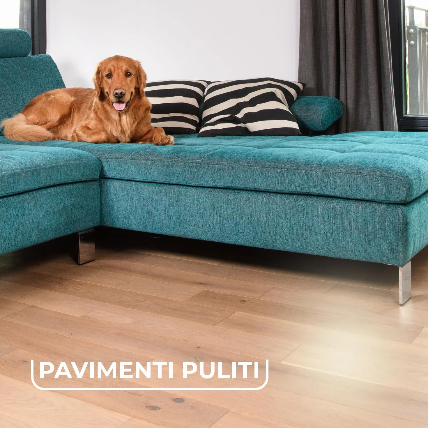 Vileda Always Clean Scopa in Gomma per Peli Animali Domestici Pet PRO