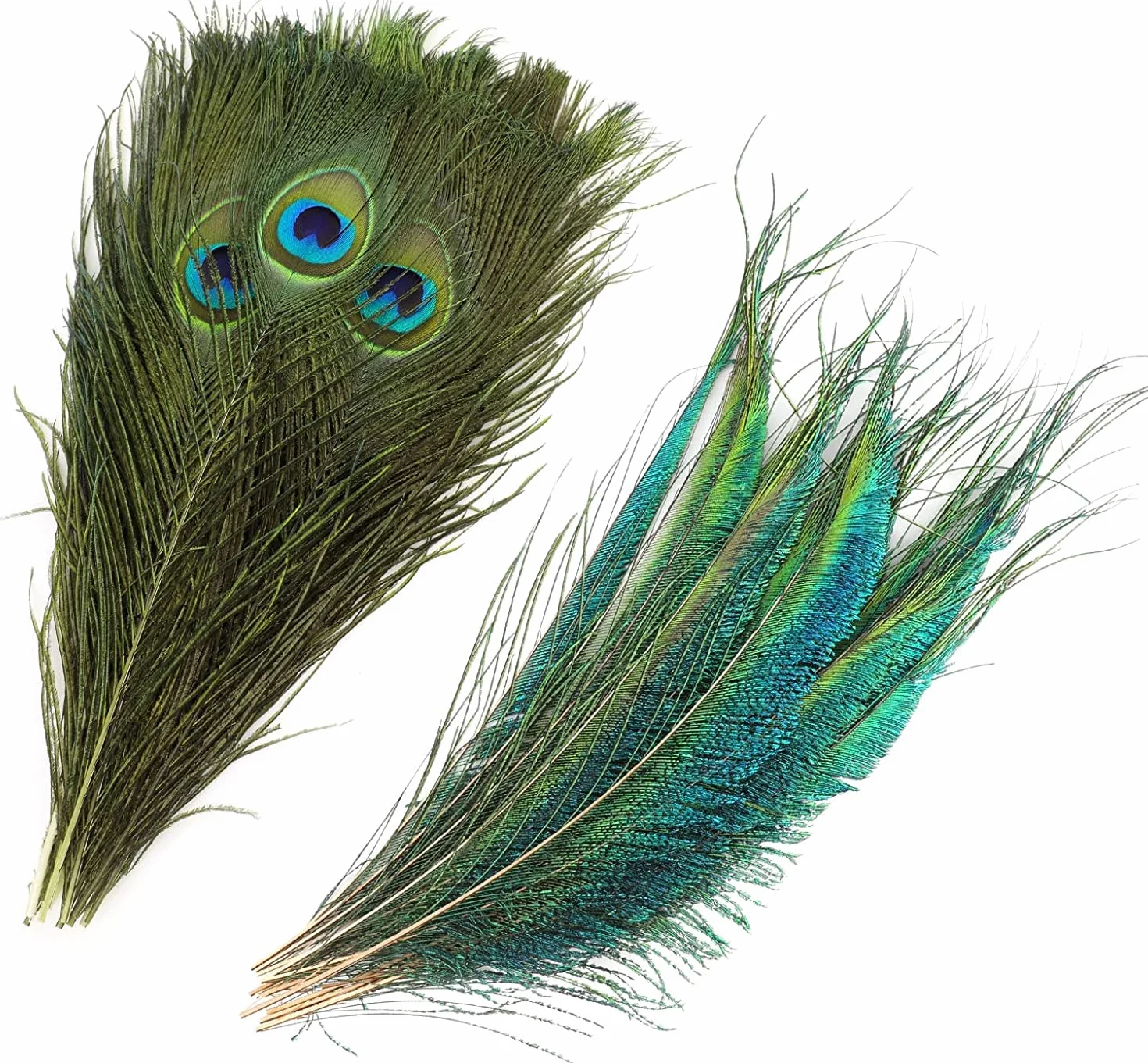 Piume Naturali di Pavone Decorative 40 Pezzi 20-25cm per DIY Carnevale