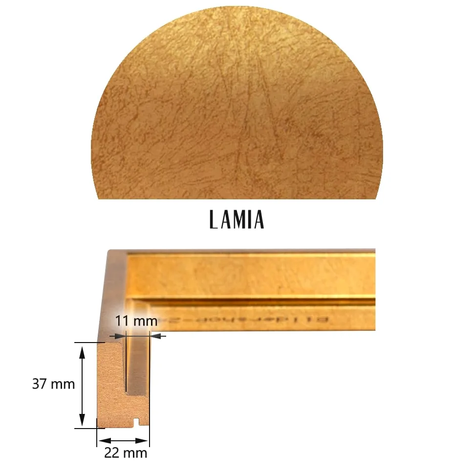 Bildershop-24 Cornice per giunti ombreggiati Lamia, 100 x 120 cm, foglio d'oro, Kit di autoassemblaggio fai da te