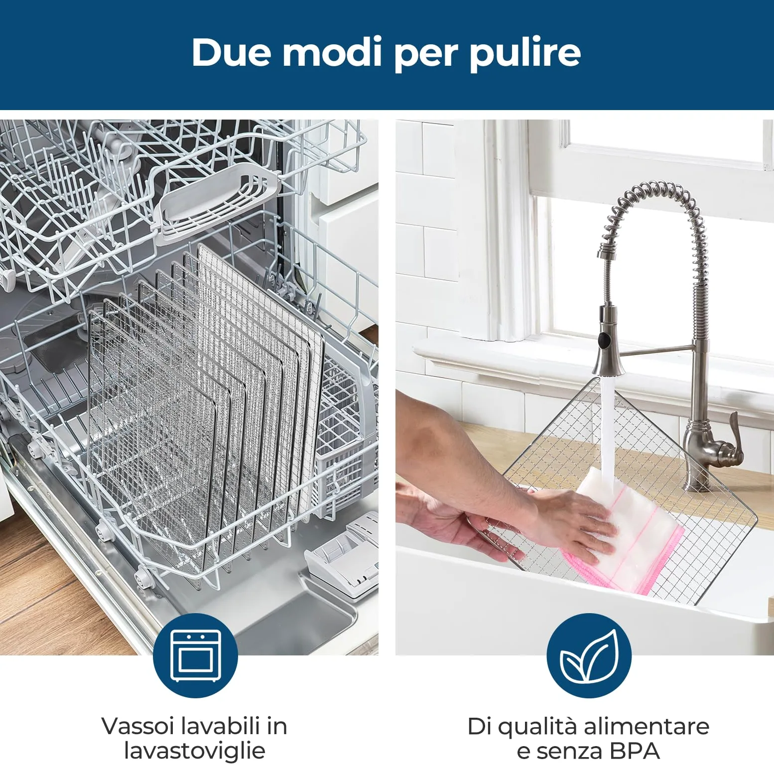 Essiccatore Alimentare in Acciaio Inox, Regolazione Precisa della Temperatura (35-75°C), Timer di 48 Ore, 9 Vassoi in Acciaio Inox, 2 Setacci in Rete, 1 Vassoio per Rotoli di Frutta, 1000W