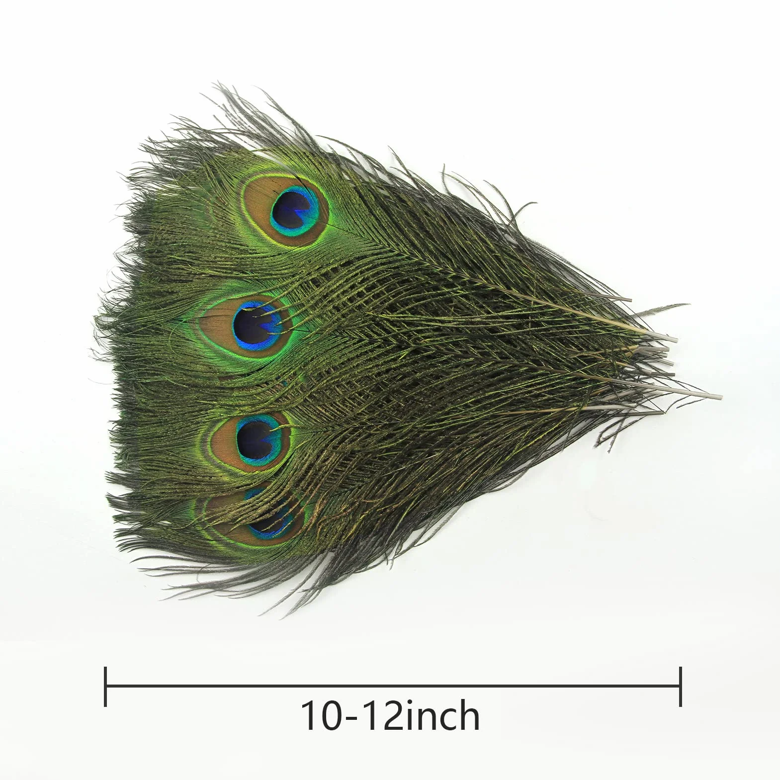 THARAHT 12pcs Peacock Feather Naturale 10-12 Pollici 25-30cm per Craft Vase Decorazione Piume di Pavone