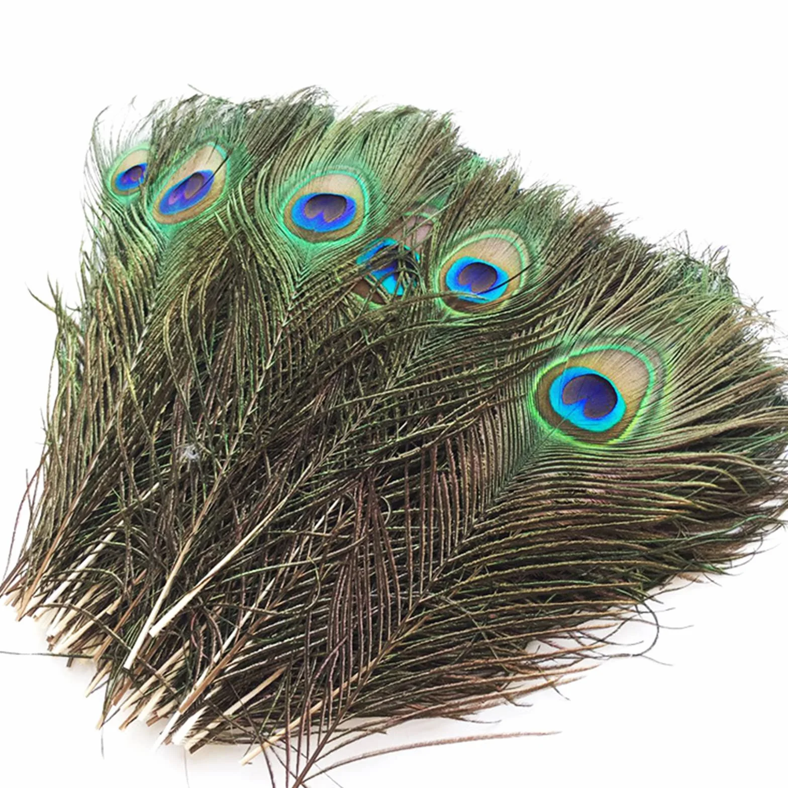 Piume di Pavone Naturali Lunghe 15pcs per Arti e Mestieri, Decorazione Fai da Te
