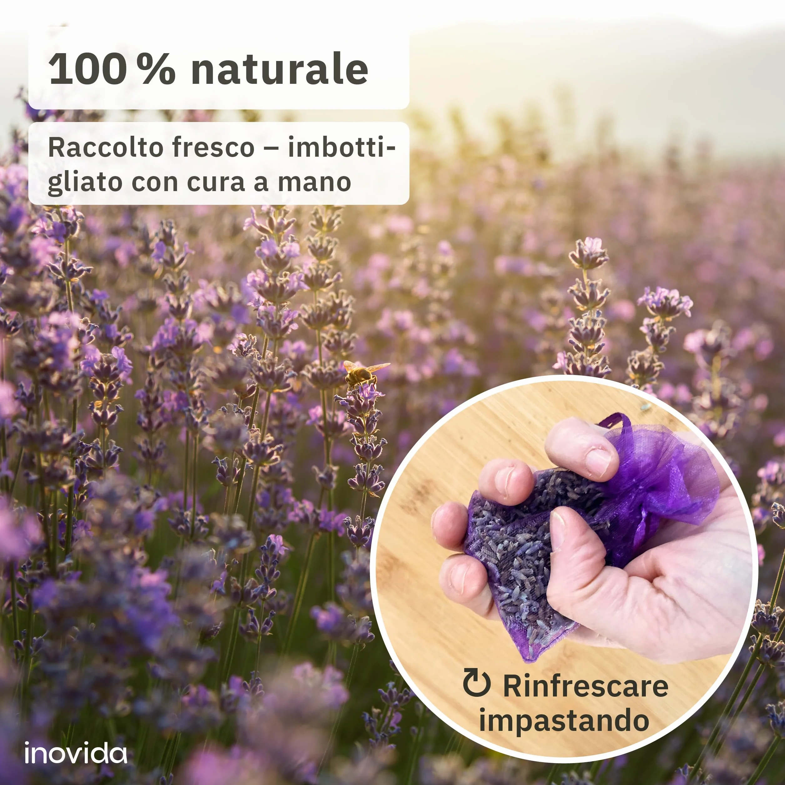 Sacchetti Profumati Lavanda: 20x Lavanda Vera Essiccata – Protezione Antitarme per gli Armadi – Sacchetti Profumatori per Armadio e Guardaroba – Profumatori Armadio – Profumo per Armadio – inovida