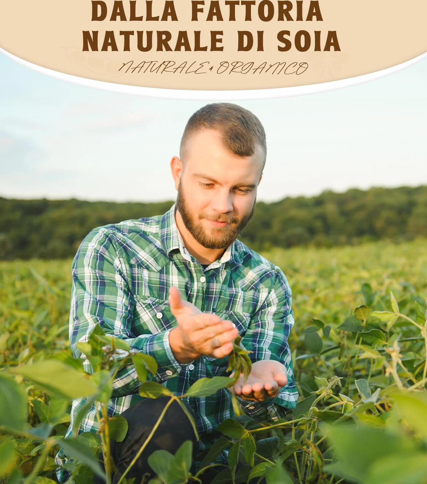 Cera di Soia Fiocchi per Candele 5KG, Premium Natural Cera per Candele Fai da Te