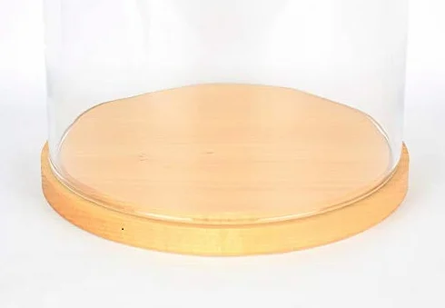 EMH - Espositore a cupola in vetro con base in legno, altezza 41,5 cm