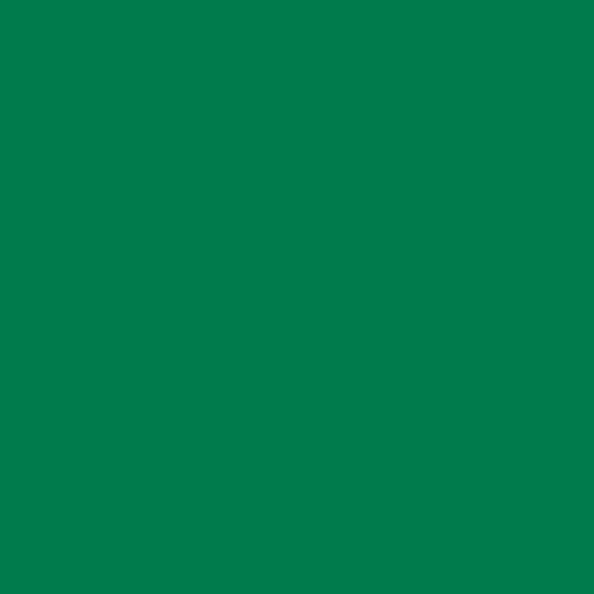 Cricut Vinile Permanente 30 x 120 cm Verde Kelly