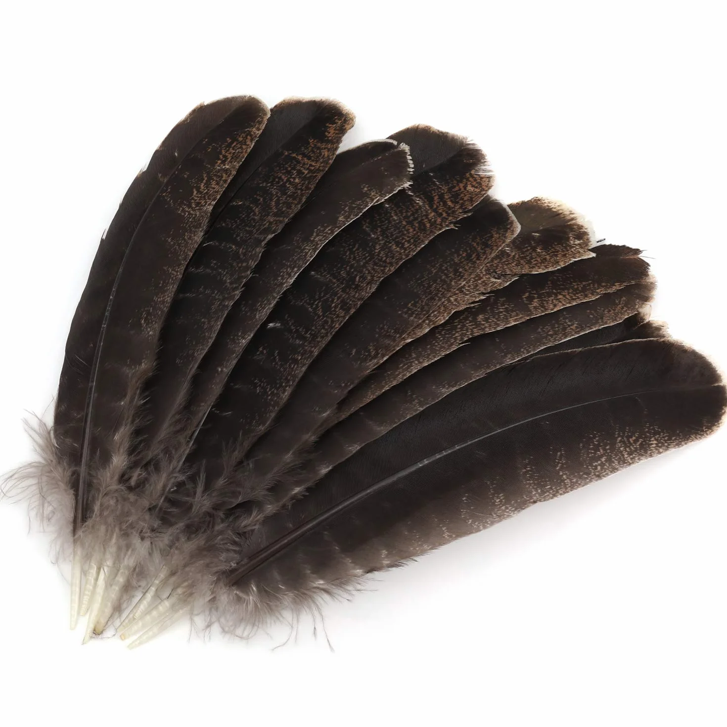 Piume di Fagiano Naturali 20-30cm Morbide per Artigianato Carnevale Decorazione 10 Pezzi