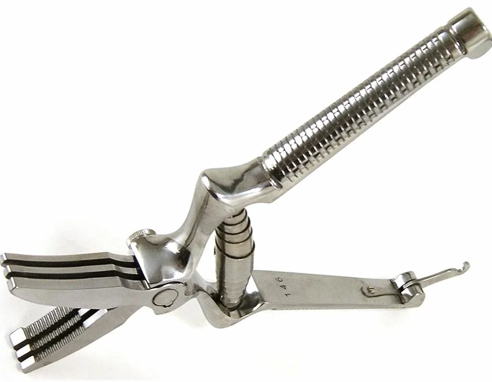 Masticatore per Alimenti Tenartis Made in Italy Acciaio Comune