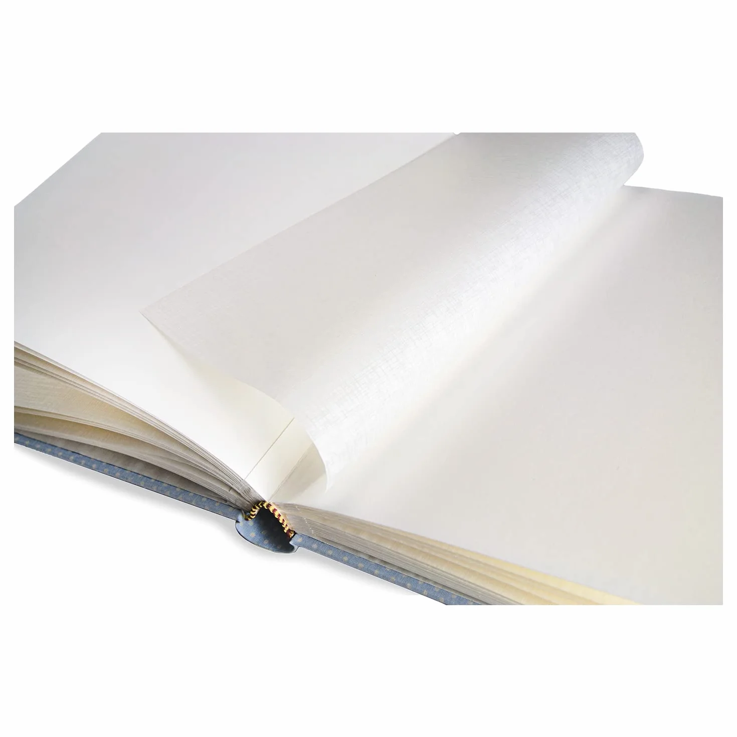 Album Fotografico 31x31/40fg (80 pagine) in cartoncino intervallato da velina Copertina in Carta Stampata con rifinitura plastificata Opaca, Foglie Natura