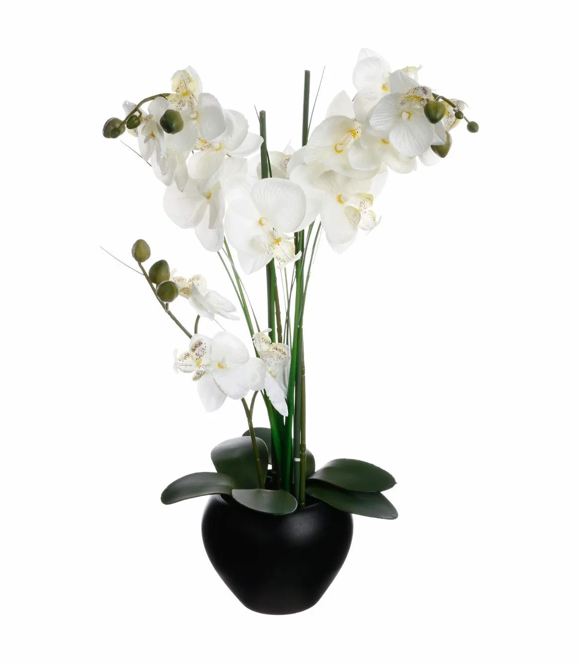ATMOSPHERA CREATEUR D'INTERIEUR - Orchidea artificiale vaso in ceramica nera H53cm