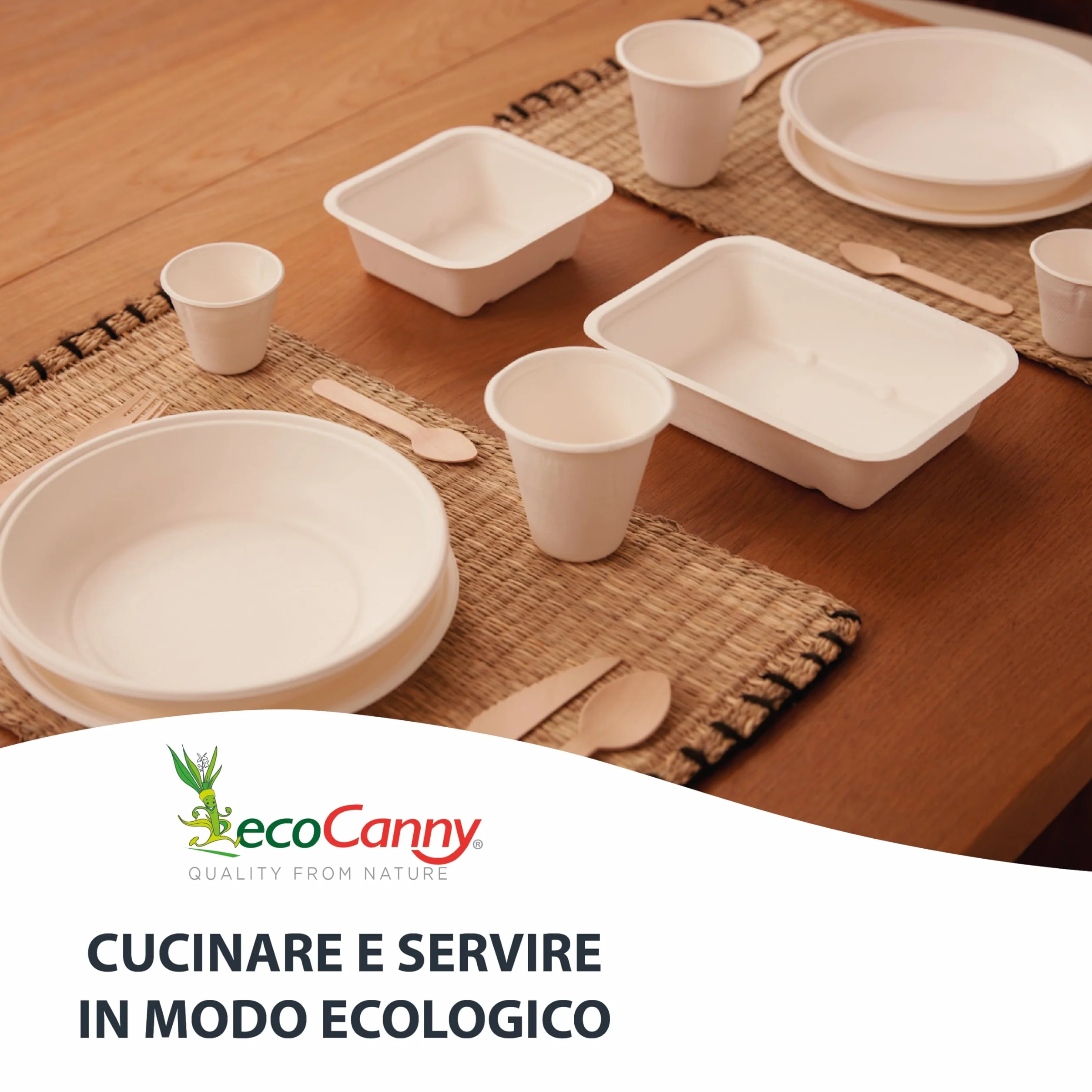 Coltelli in Legno di Betulla 160mm Compostabili 100 Pezzi