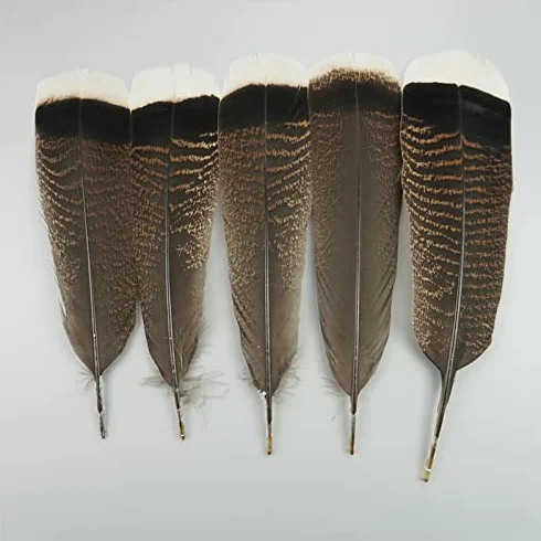 Naturali Piume D'aquila RAEF 10 Pz per Artigianato Decorazione Copricapo Carnevale