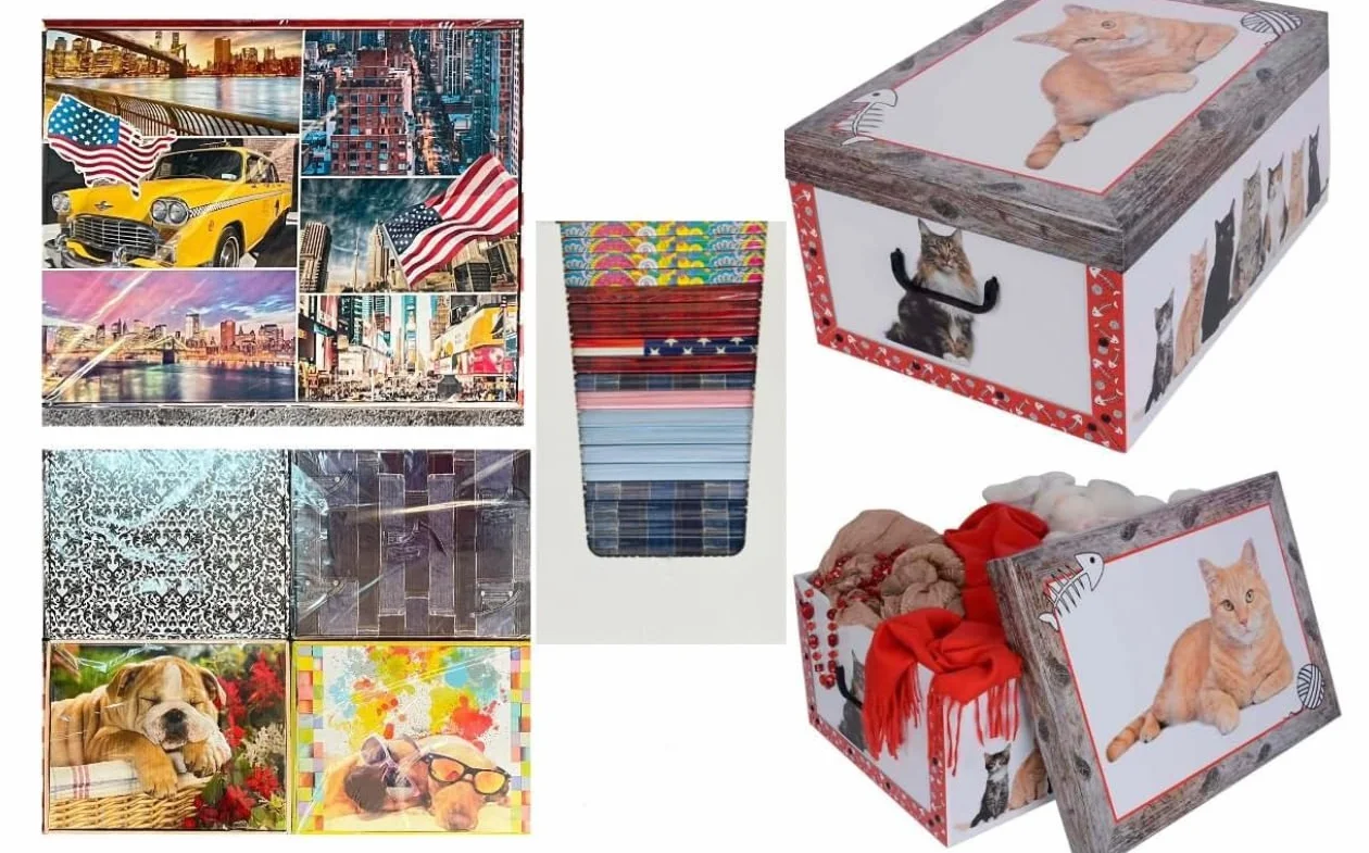 Generico Scatola per Armadio in Cartone con Coperchio 40x50x25 cm Organizer per Vestiti e Biancheria 4 Pezzi