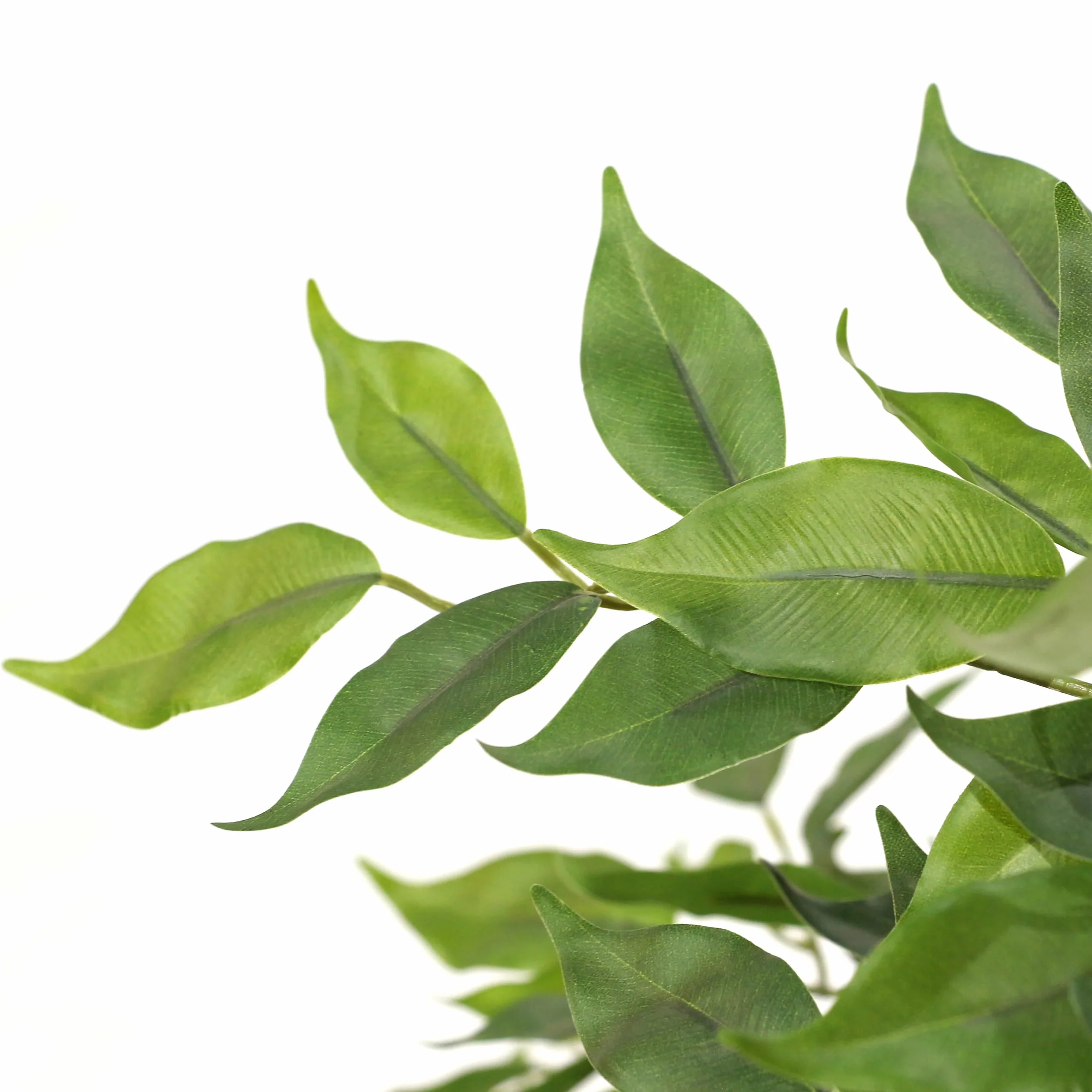 HJH Office Pianta artificiale FICUS I Pianta artificiale decorativa 120 cm, fico di betulla, albero artificiale di facile manutenzione, verde 871057
