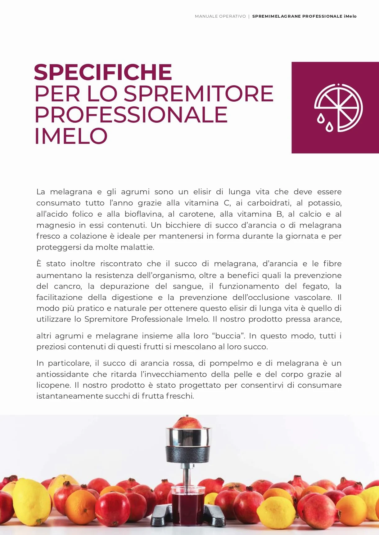 Spremi melograno e spremiagrumi manuale professionale - spremi melagrane, arance, limoni e tutti i tipi di frutta - senza elettricità
