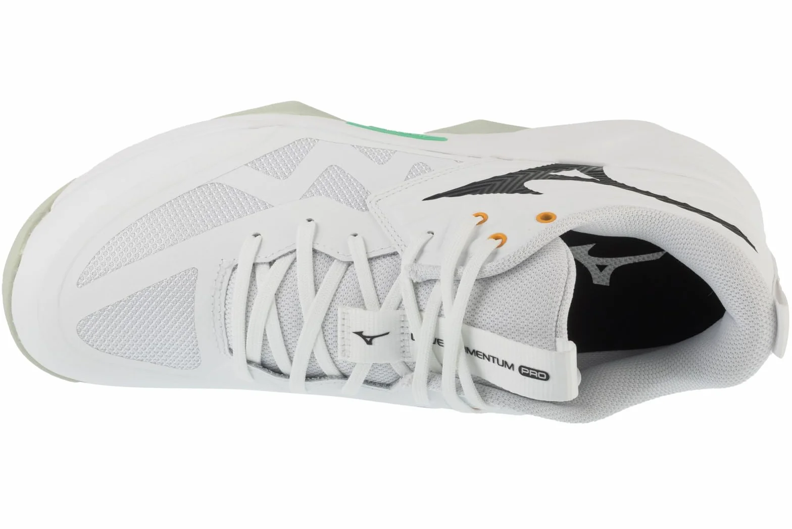 Mizuno Scarpe da pallavolo Uomo