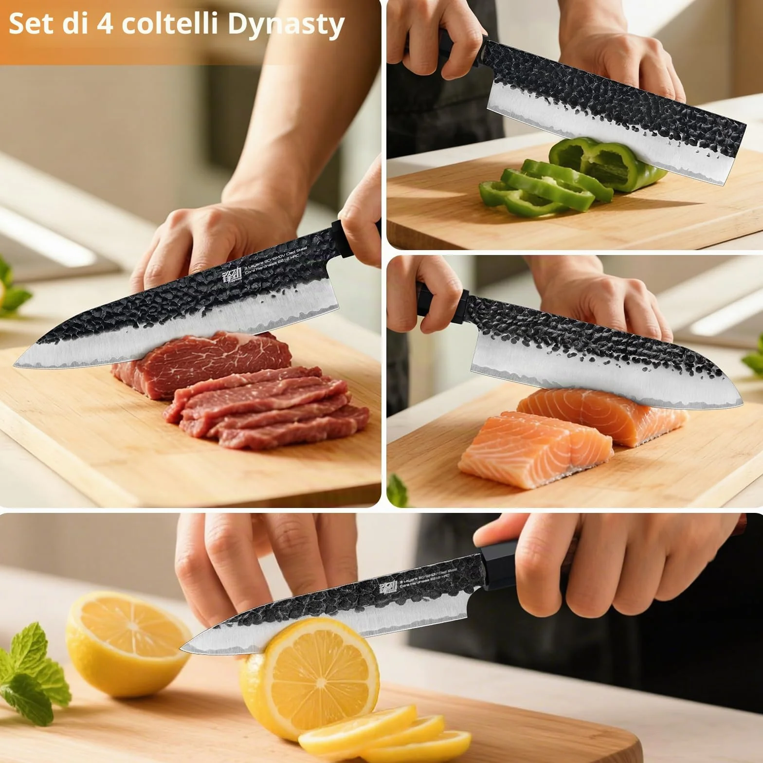 Set di coltelli da cucina FINDKING serie Dynasty 4PCS, Set di coltelli professionali da chef giapponesi, Lama in acciaio ad alto tenore di carbonio 9Cr18MoV, per carne, frutta e verdura