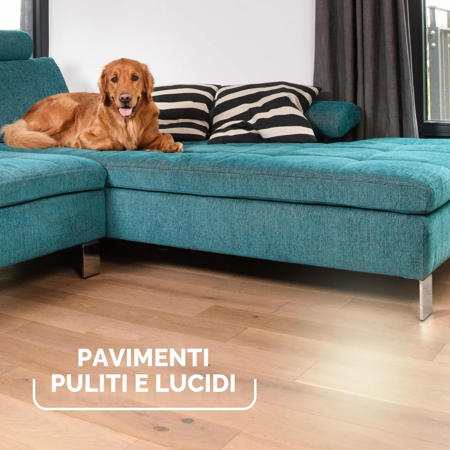 Vileda Pet Pro Always Clean scopa in gomma per peli animali domestici tutti i pavimenti