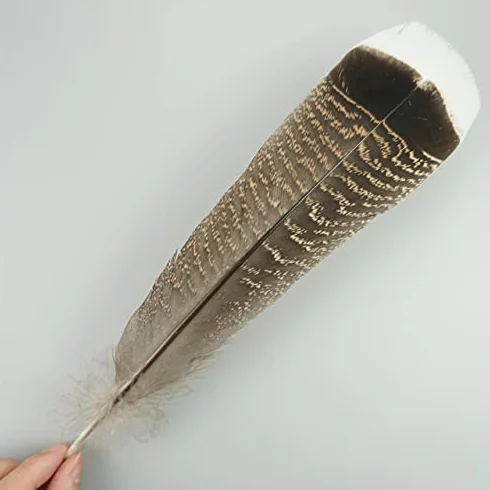 Naturali Piume D'aquila RAEF 10 Pz per Artigianato Decorazione Copricapo Carnevale