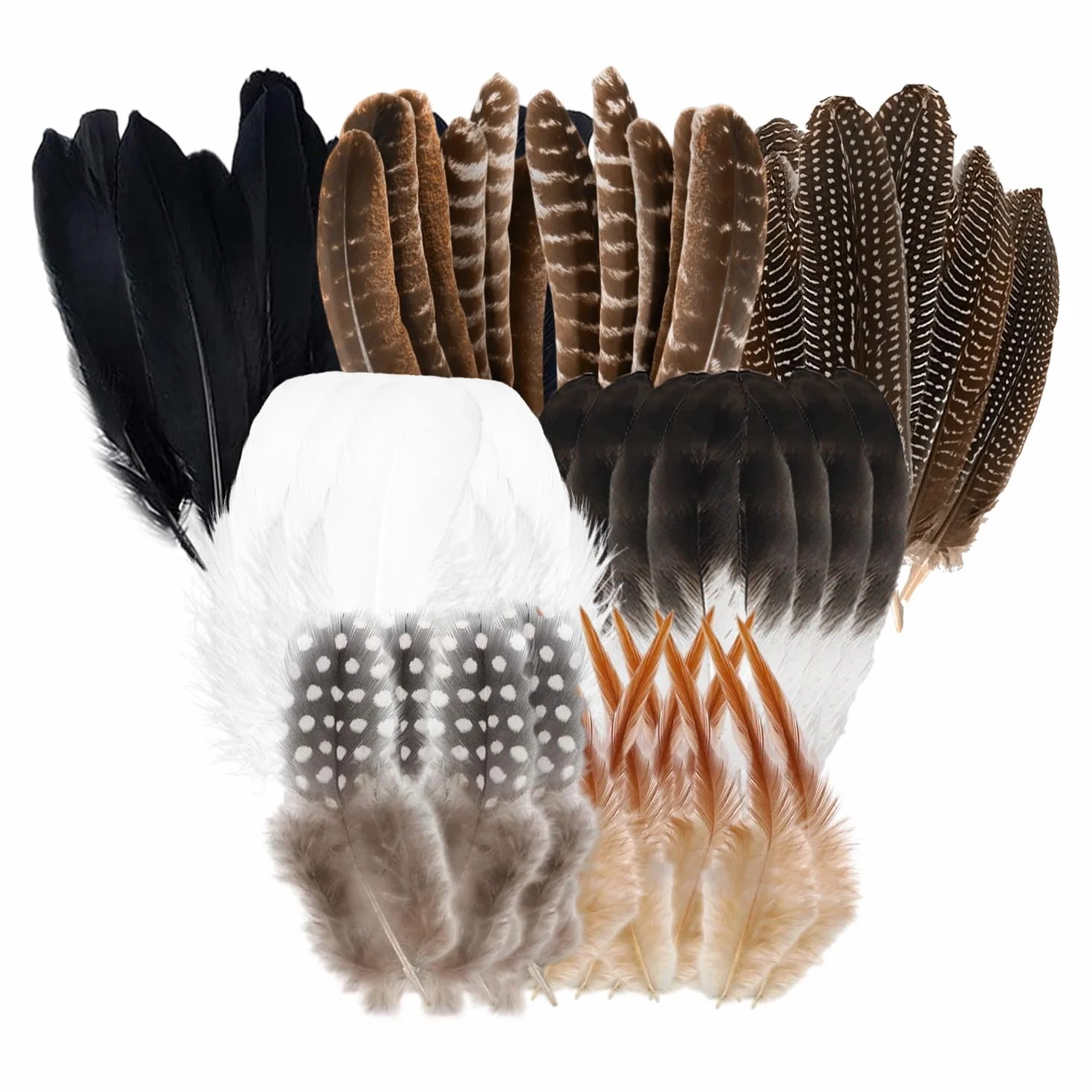 Piume di Tacchino Decorative 90 Pezzi 7 Stili per Artigianato Costumi Carnevale Halloween