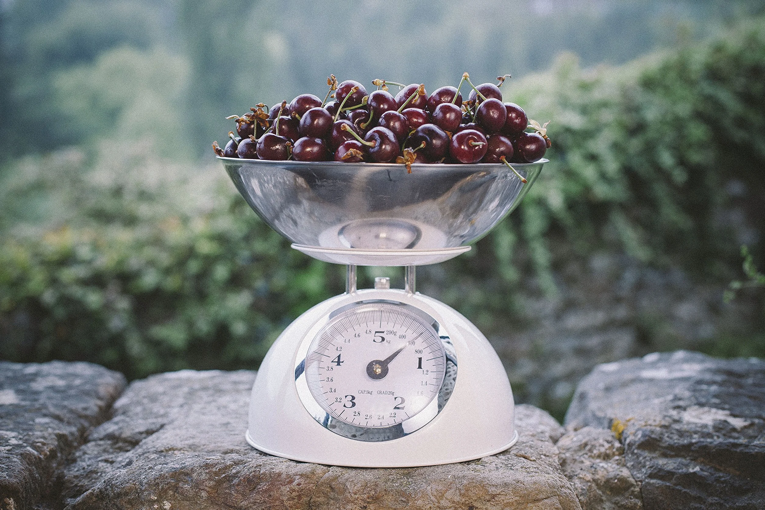 Lacor Bilancia da Cucina retrò 5 kg Acciaio Rosso