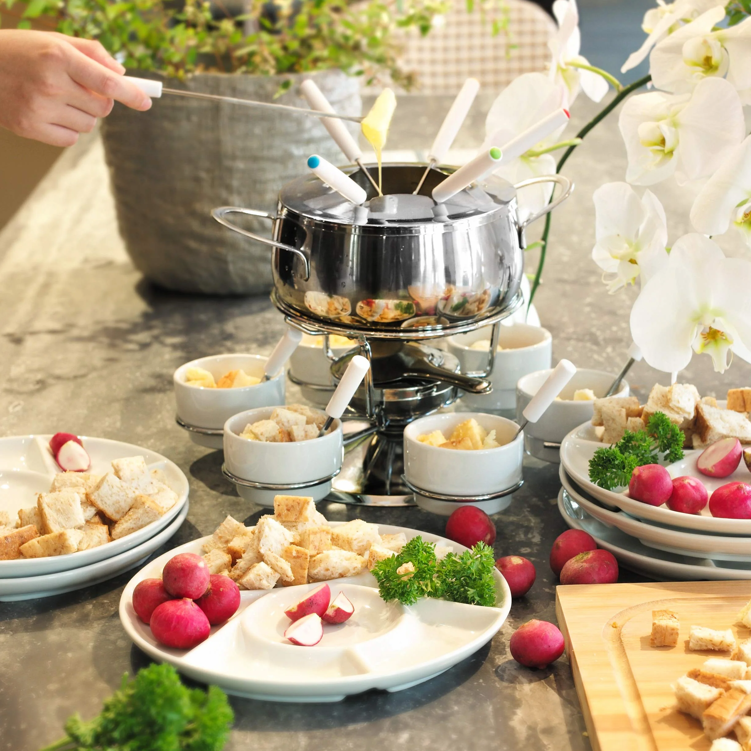 Ribelli Set Fonduta 28 Pezzi Acciaio Inox per 6 Persone