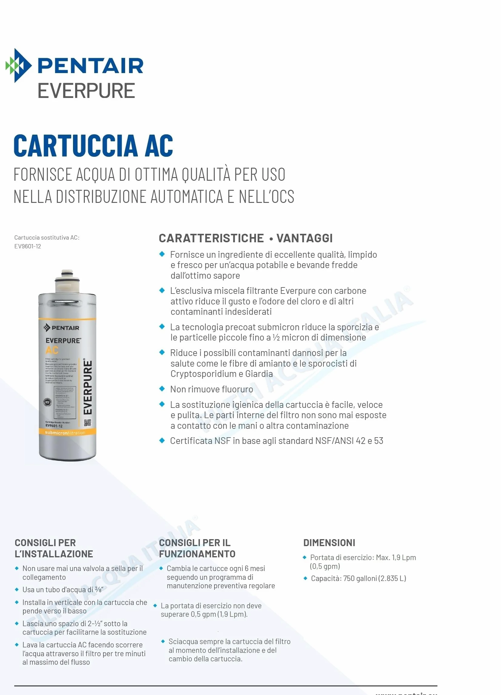 Everpure AC EV9601-12 Ricambio Filtro Acqua