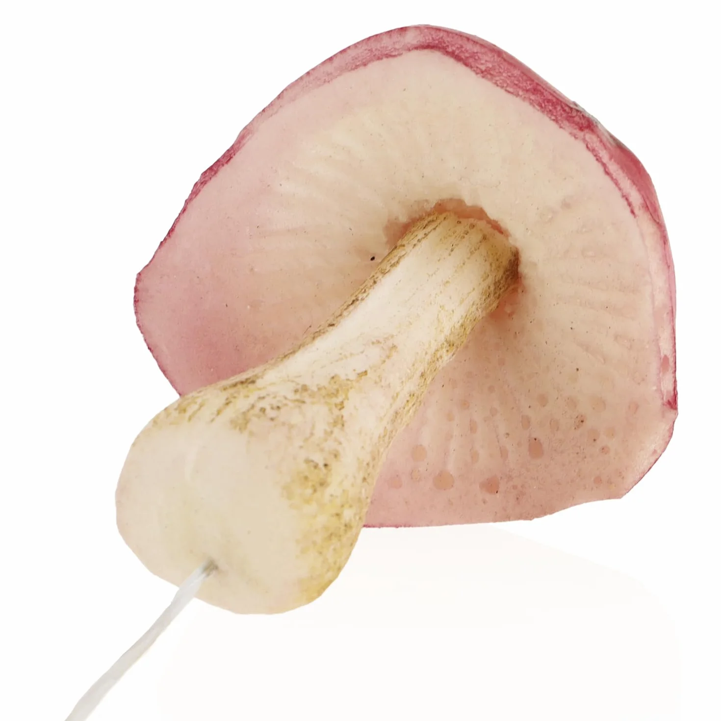 Com-four 4X agarico Volante Funghi Artificiali Decorazione Autunnale Grande Fungo Ghirlande