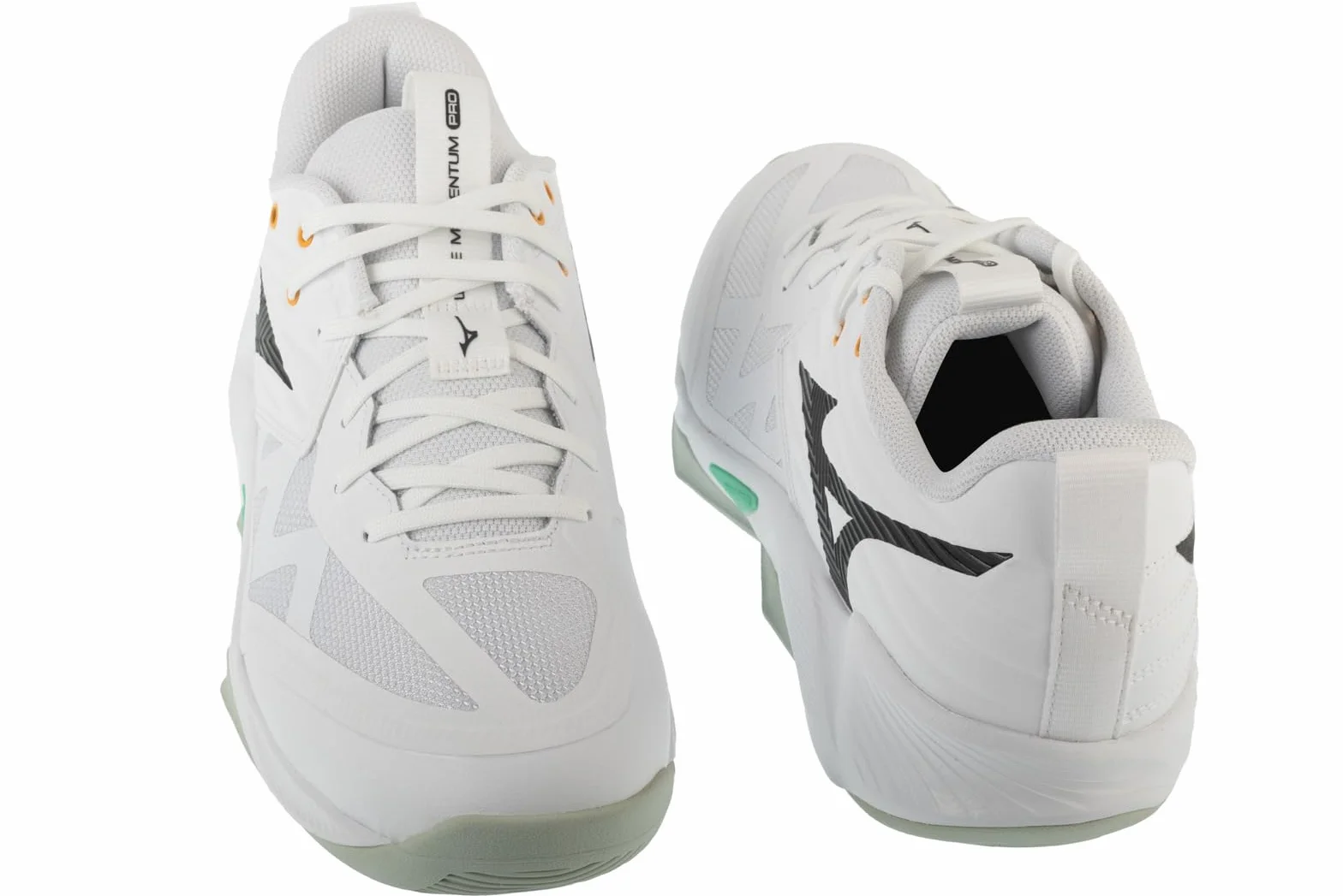 Mizuno Scarpe da pallavolo Uomo